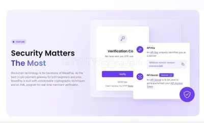 No KYC Crypto Payment Gateway - Maxelpay photo