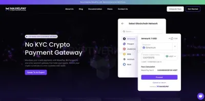 No KYC Crypto Payment Gateway - Maxelpay photo
