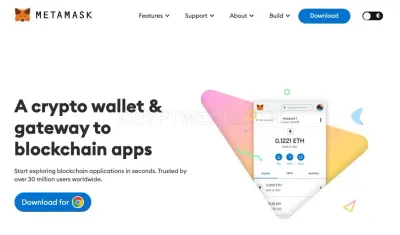 MetaMask photo