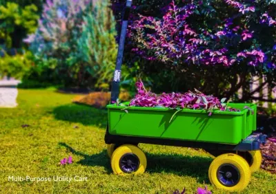 Mighty Max Cart LLC photo