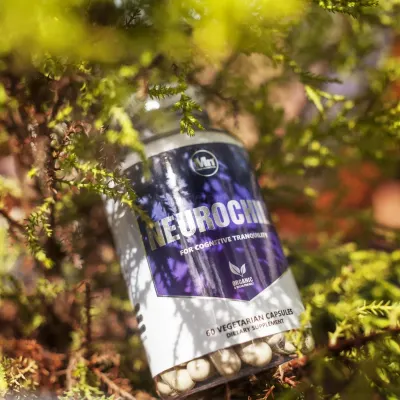 Mind Nutrition photo