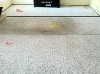 Mother Nature’s Carpet Cleaning photo