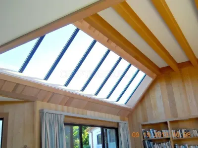 Mr. Skylight photo