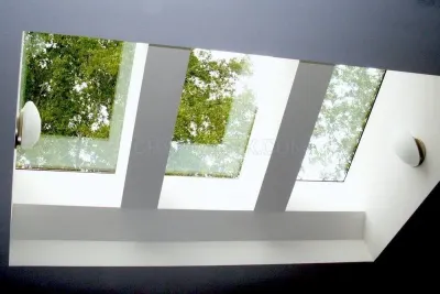 Mr. Skylight photo