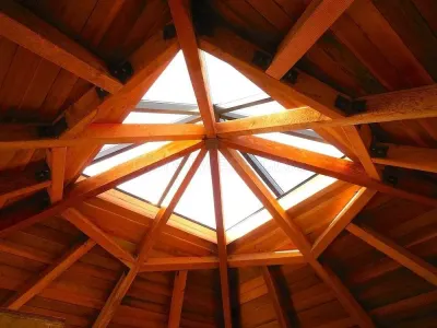 Mr. Skylight photo