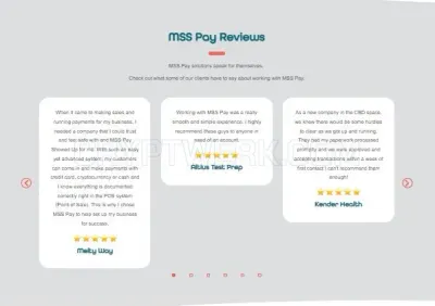 MSS Pay photo
