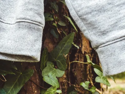 Nature Threads photo