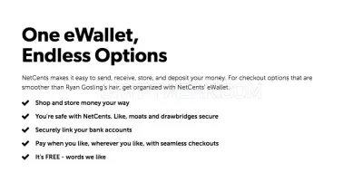 Net-cents photo