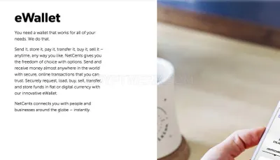 Net-cents photo