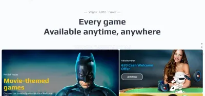 NetBet Casino photo