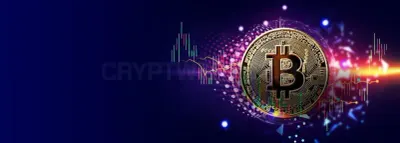 NewIcoFinder photo