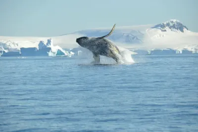 Nexta Expeditions photo