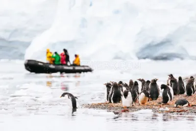 Nexta Expeditions photo