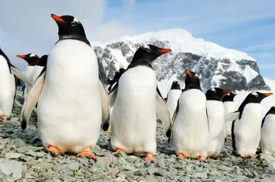 Nexta Expeditions photo