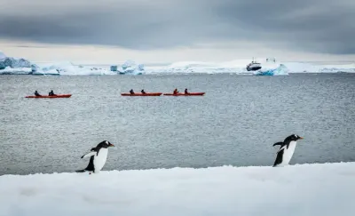 Nexta Expeditions photo