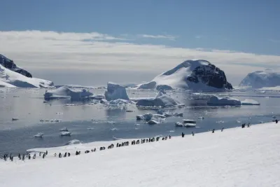 Nexta Expeditions photo