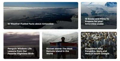 Nexta Expeditions photo