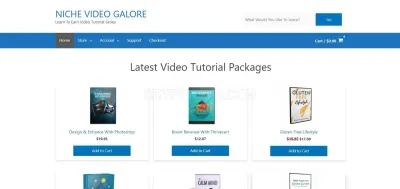 Niche Video Galore photo