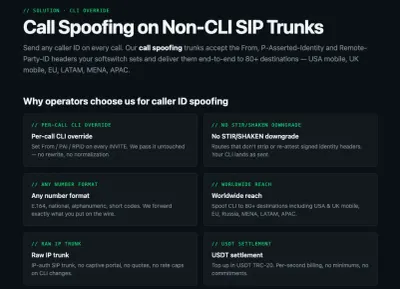 NON-CLI.SITE photo