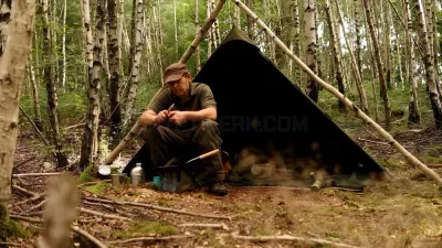Nordic Wolf Shop photo
