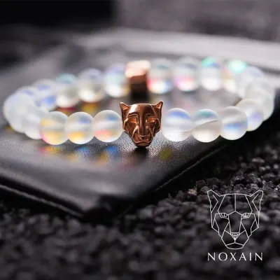 NOXAIN photo