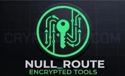 NULL_ROUTE · Crypto Insider_ photo