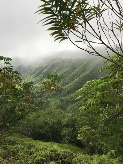 Oahu Photography Tours photo