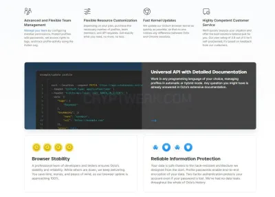 Octo Browser photo