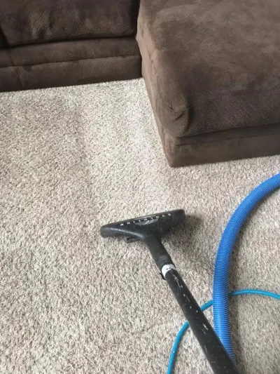 Odyssey Carpet Cleaning photo