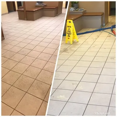 Odyssey Carpet Cleaning photo