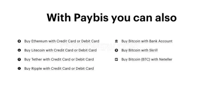 Paybis photo