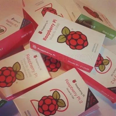 Pi Savvy photo
