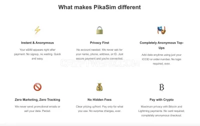 PikaSim photo