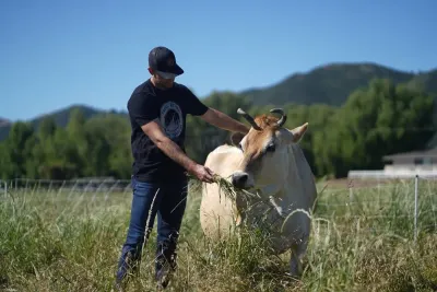 Primal Pastures photo