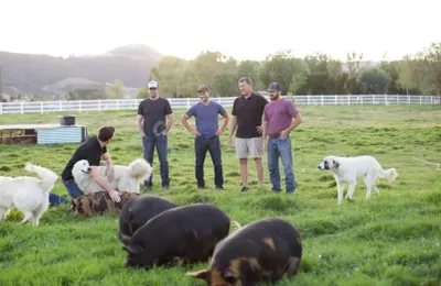 Primal Pastures photo