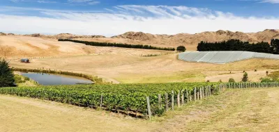 Pyramid Valley Vimeyards photo