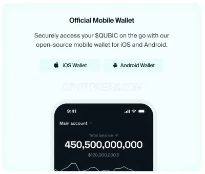 QUBIC wallet photo