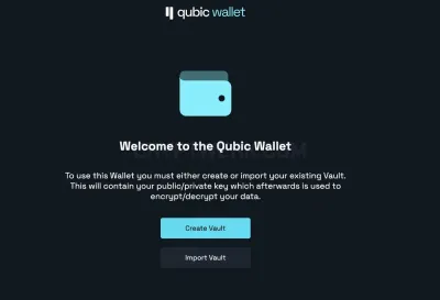 QUBIC wallet photo