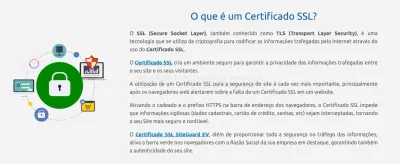 Rapidssl.com.br photo