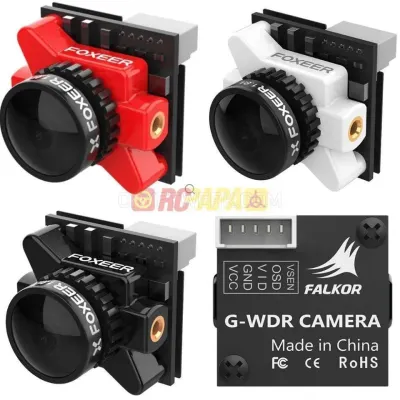 RC Papa photo