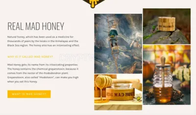 Real Mad Honey photo