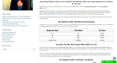 Real Traffic Source photo
