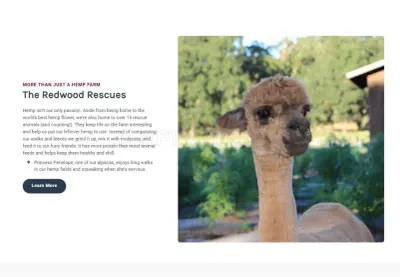 Redwood Reserves photo