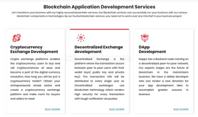 Blockchain App Developer photo