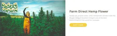 Rogue Origin photo
