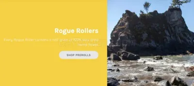 Rogue Origin photo