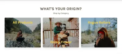 Rogue Origin photo