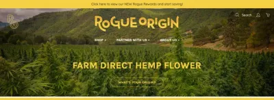 Rogue Origin photo