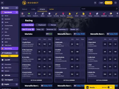 Roobet photo