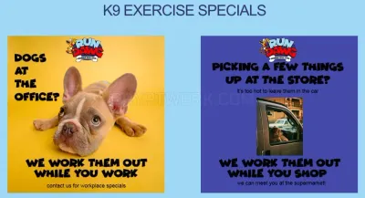 RUN DAWG Mobile Dog Gym photo